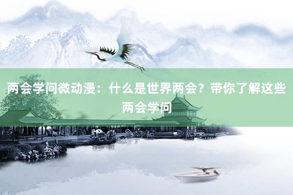 两会学问微动漫：什么是世界两会？带你了解这些两会学问